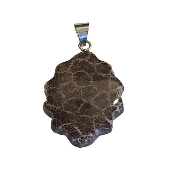 NEW Sponge Coral Brown Fancy Pendant in Sterling Silver - Picture 1 of 11